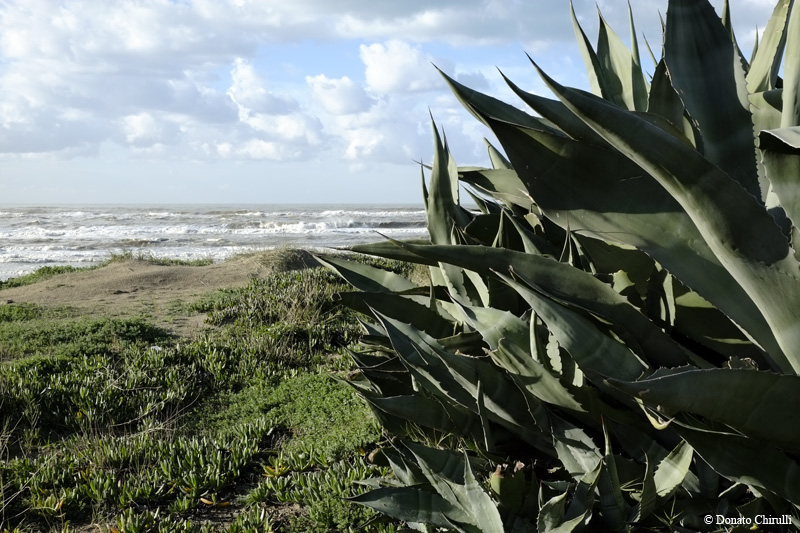 Natural Landscape 03